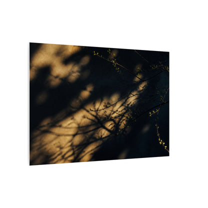 Moody Shadow Play Canvas Art - Moody Minimal Dark Japandi