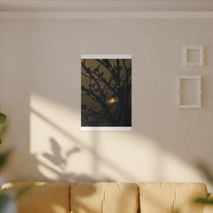 Bold Shadow Play Canvas Art - Moody Minimal Dark Japandi