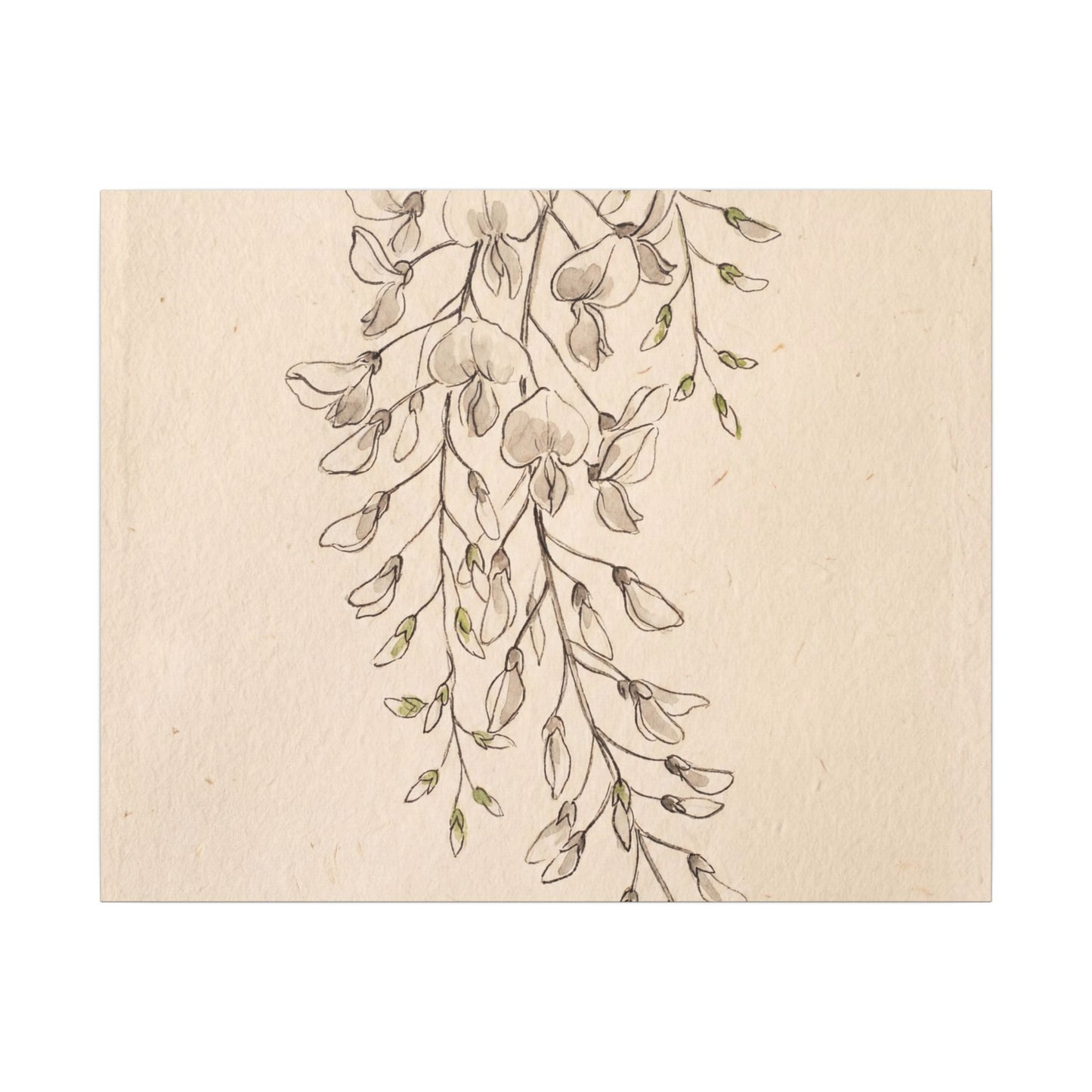 Japandi Wisteria in Golden Hour | Minimal Line Canvas Art
