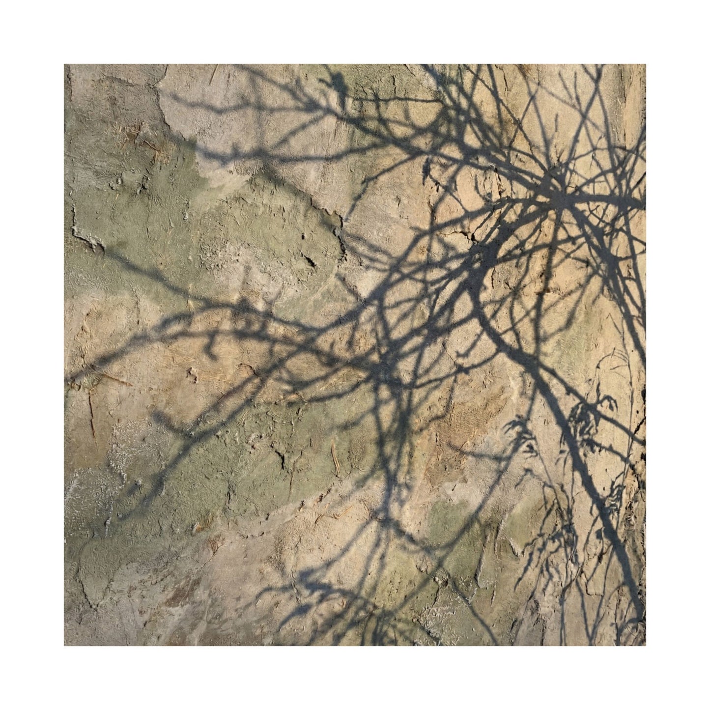 Shadow Play Winter Wall Art Print | Japandi Earthy Design