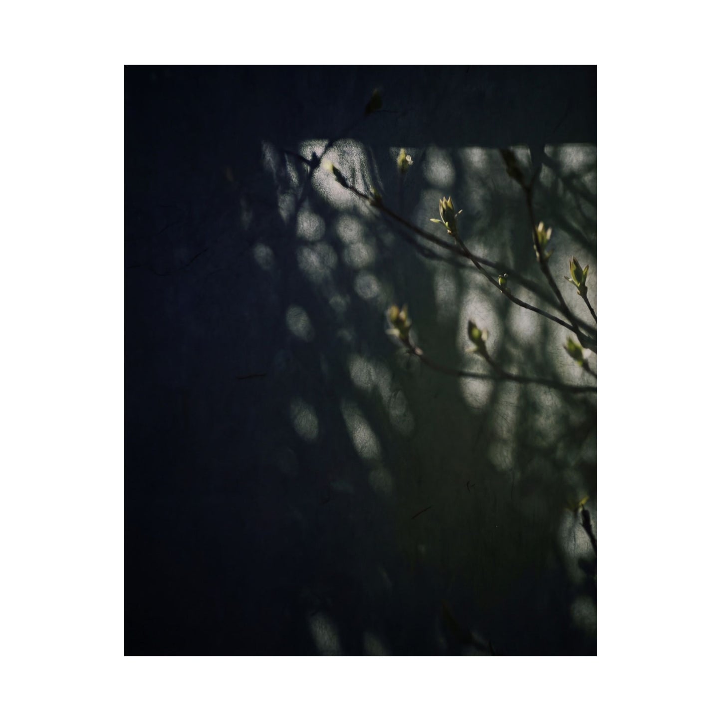 Shoji Screen Wall Art Print | Spring Dark Japandi Moody Minimal Art