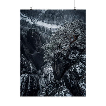 Pine Tree Wall Art Print | Winter Dark Japandi Dark Texture Art Art Print