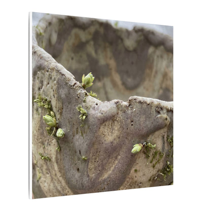 Overcast Ceramic Bowl Canvas Art - Japandi Fukinsei