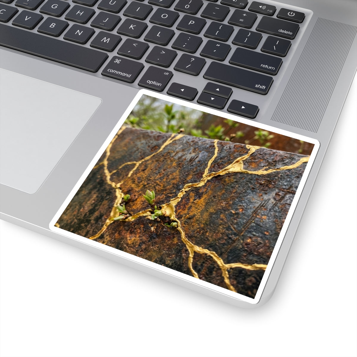 Kintsugi Rust Patina in Overcast | Gold Repair Sticker