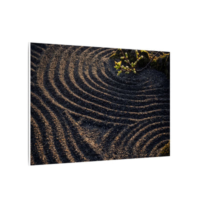 Spring Rock Garden Shadow Zen Canvas Art | Atmospheric Decor