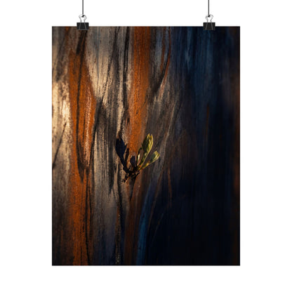 Rust Patina Spring Wall Art Print | Dark Japandi Sophisticated Design Art Print