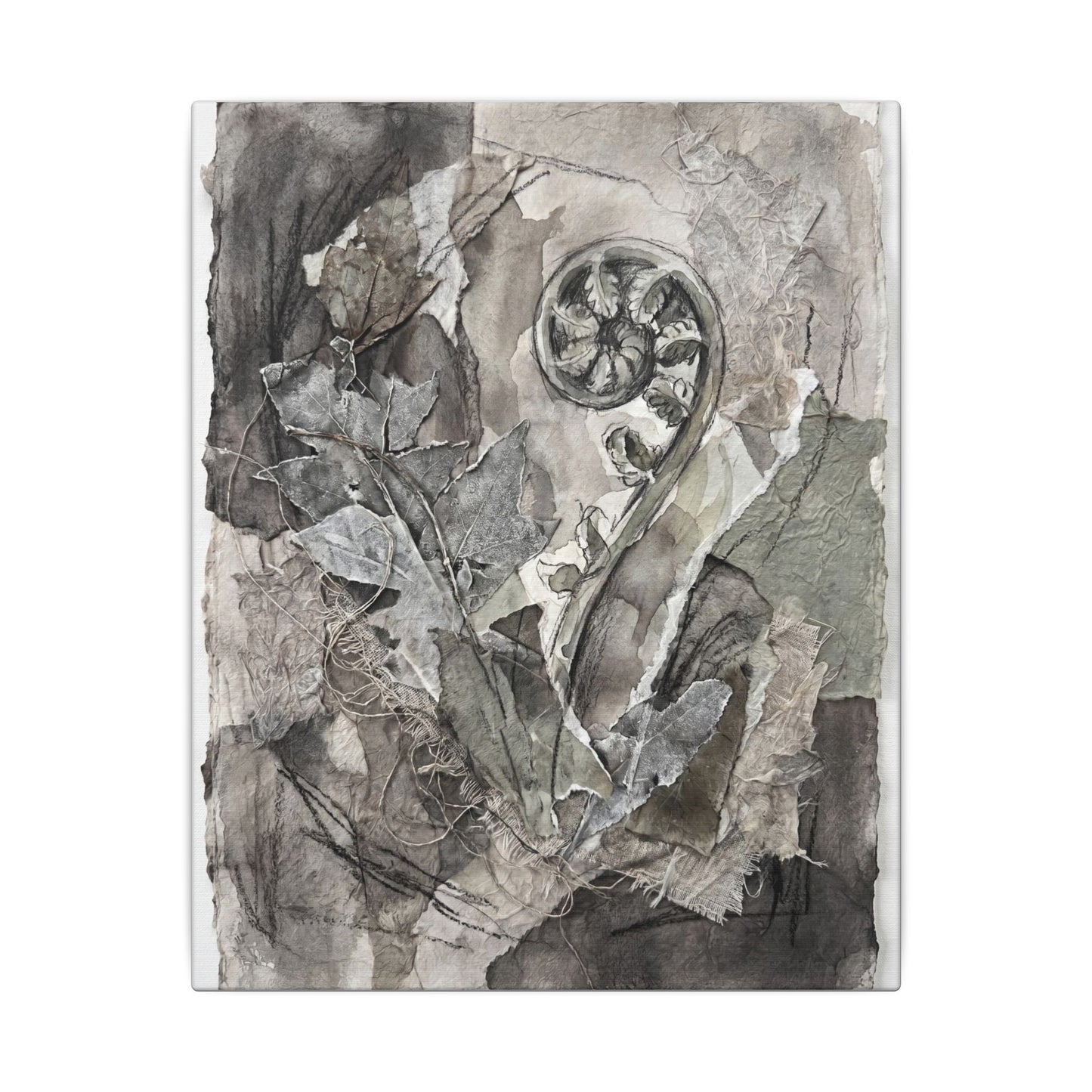 Japandi Fern Unfurling in Overcast | Texture Canvas Art
