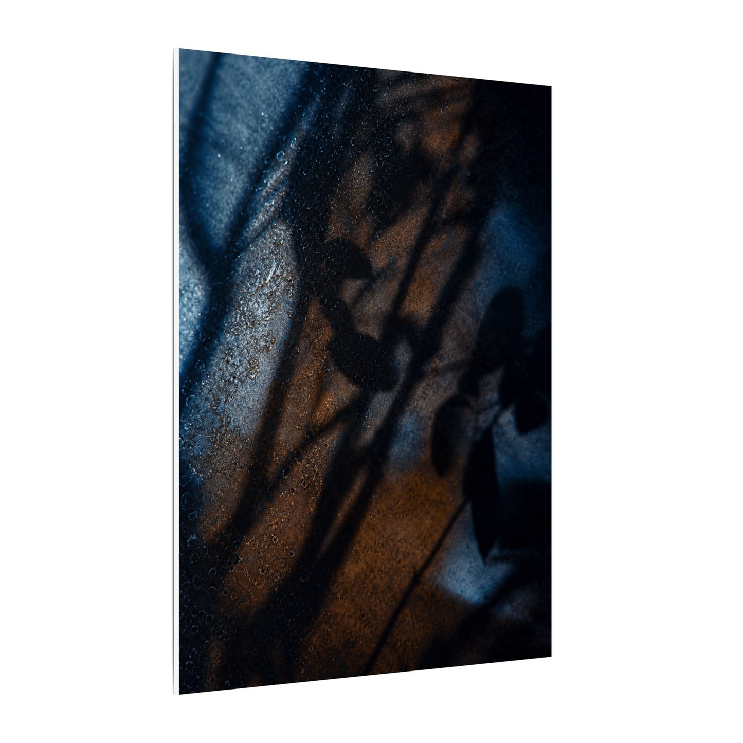 Moonlight Shadow Play Canvas Art - Dark Japandi Ma