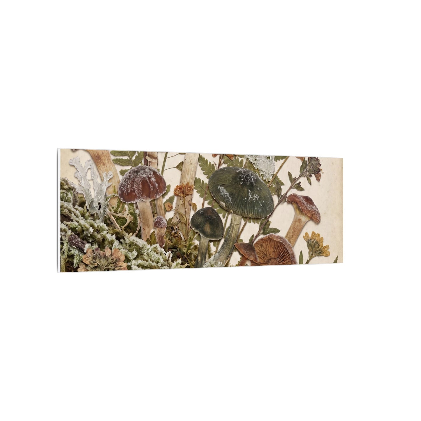Winter Wild Mushrooms Herbarium Canvas Art | Enchanting Decor