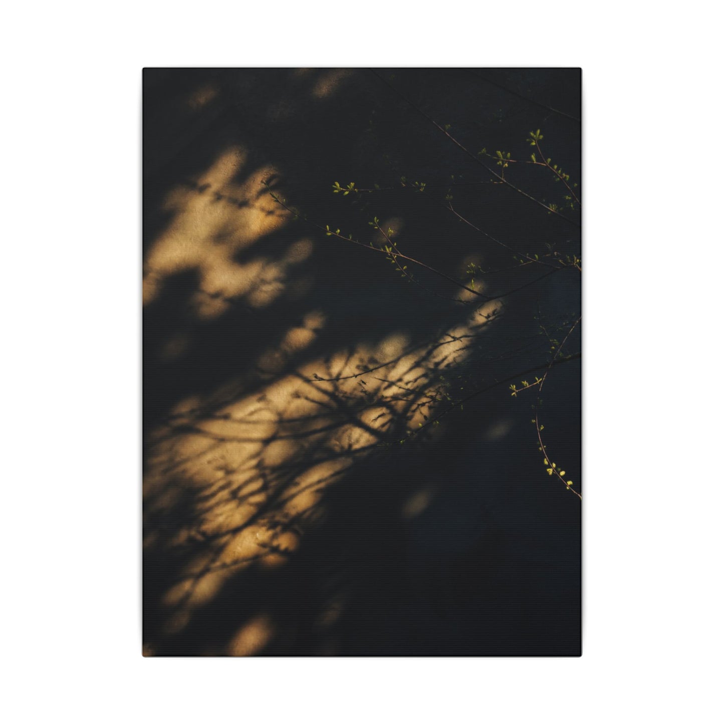Moody Shadow Play Canvas Art - Moody Minimal Dark Japandi