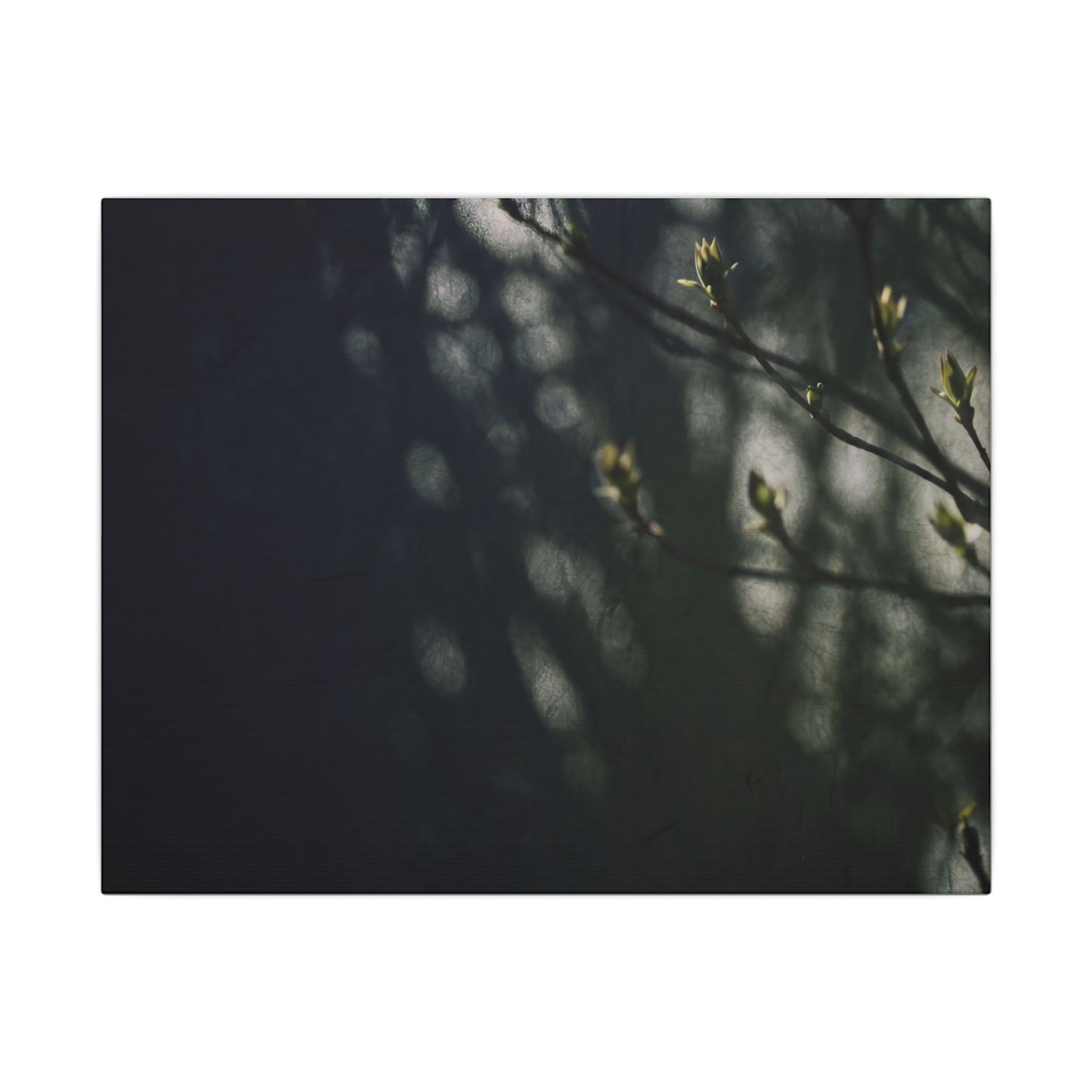 Dark Japandi Shoji Screen in Dappled | Moody Minimal Canvas Art Art Print