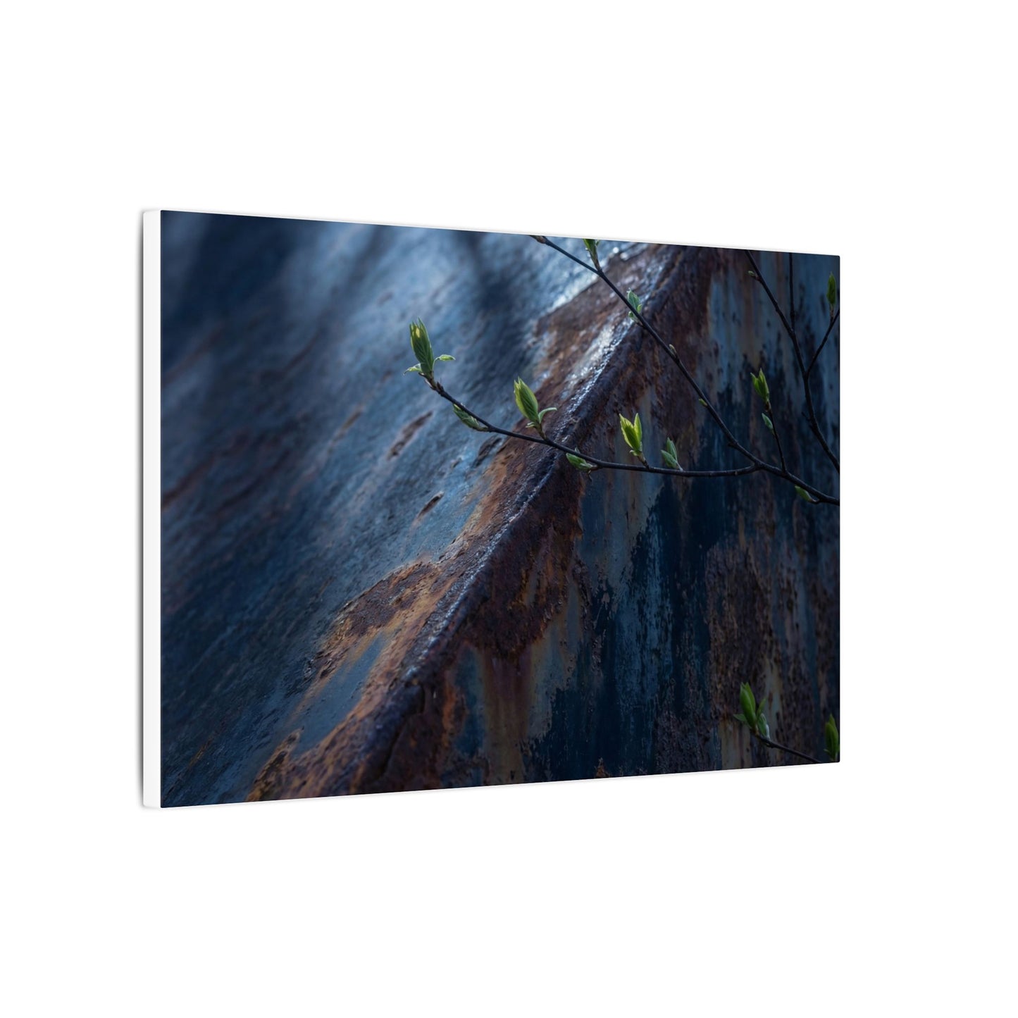 Rust Patina Canvas Art | Spring Dark Japandi Shadow Zen Art