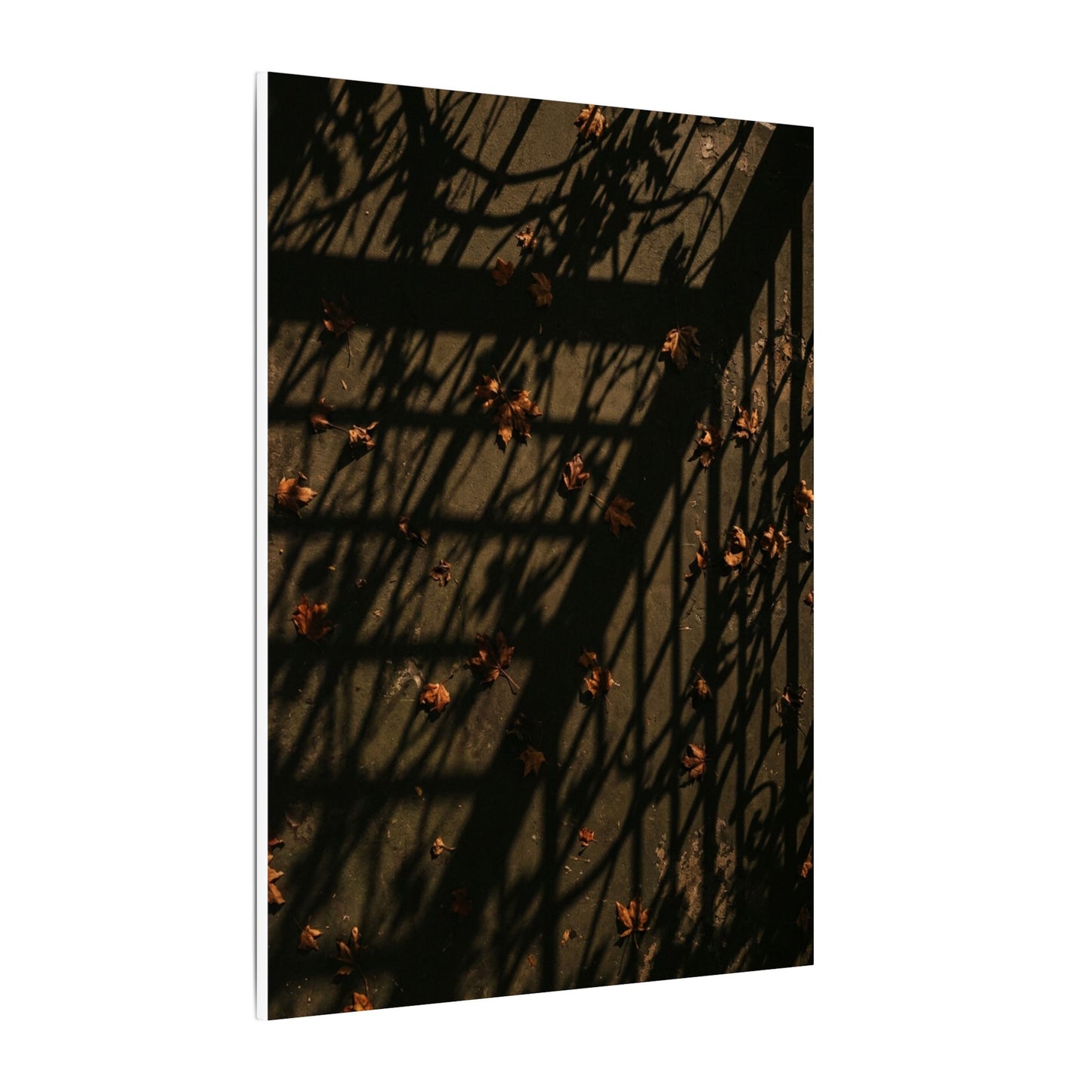 Dark Japandi Shadow Play in Golden Hour | Moody Minimal Canvas Art