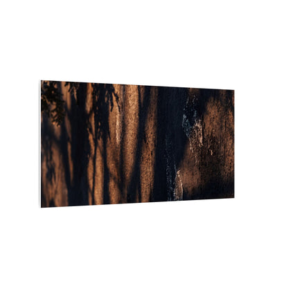Golden Hour Shadow Play Canvas Art - Dark Japandi Fukinsei