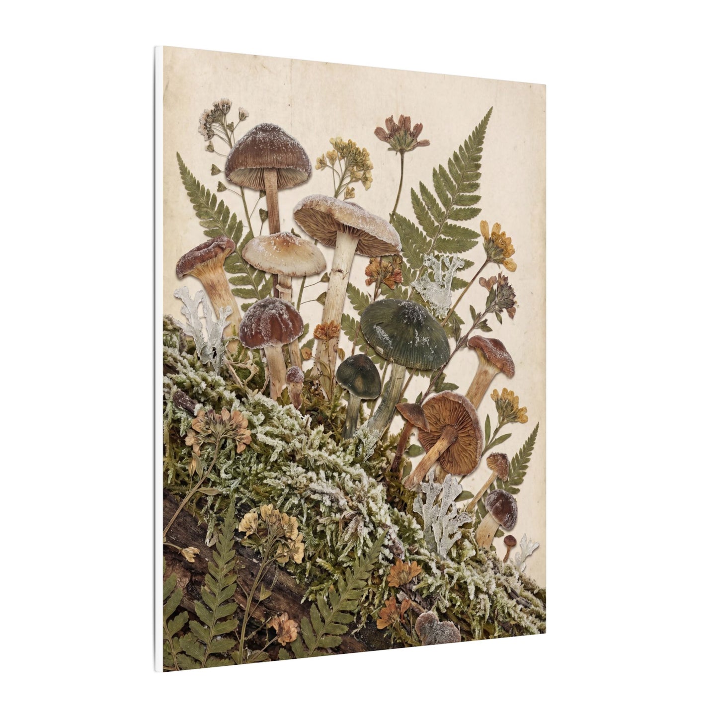 Winter Wild Mushrooms Herbarium Canvas Art | Enchanting Decor