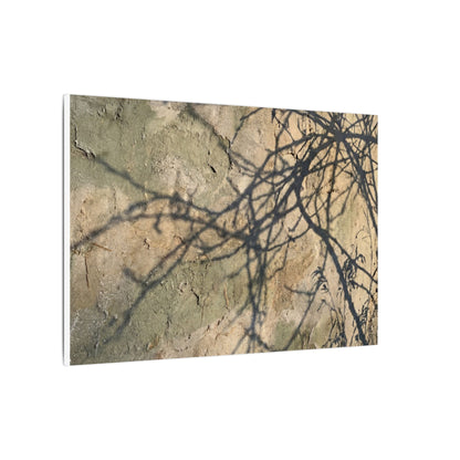 Japandi Shadow Play in Golden Hour | Texture Canvas Art