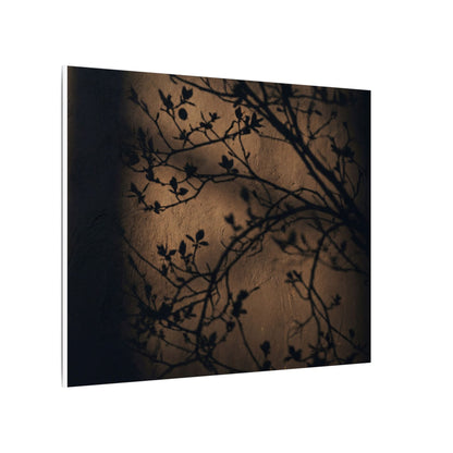 Dark Japandi Shadow Play in Golden Hour | Shadow Zen Canvas Art