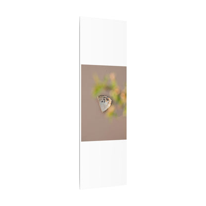 Ceramic Bowl Canvas Art | Spring Japandi Japanese Pattern Art