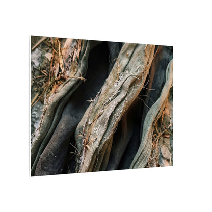 Silk Drape Winter Canvas Art | Japandi Cozy Design