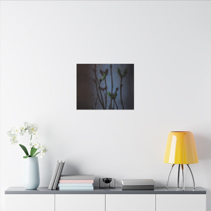 Shadow Play Spring Canvas Art | Dark Japandi Sophisticated Design