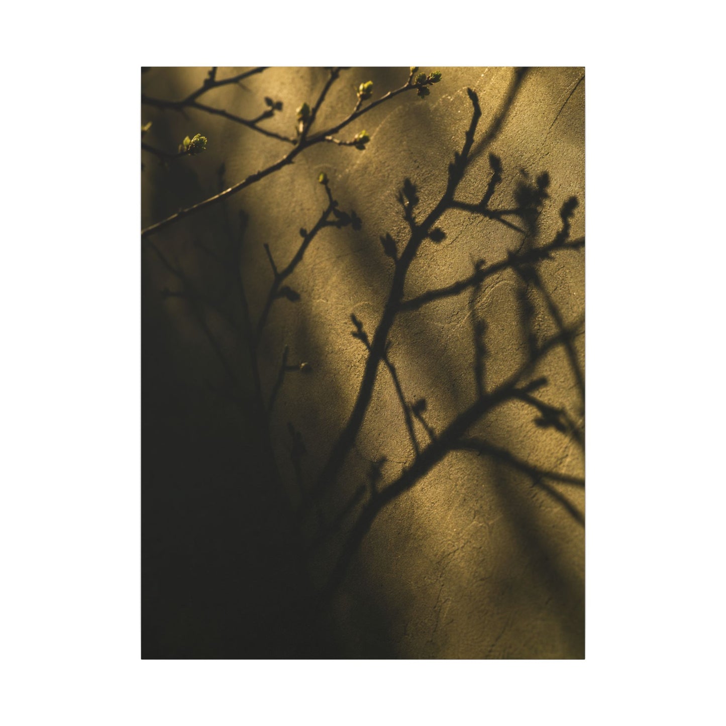 Golden Hour Shadow Play Canvas Art - Dark Japandi Seijaku
