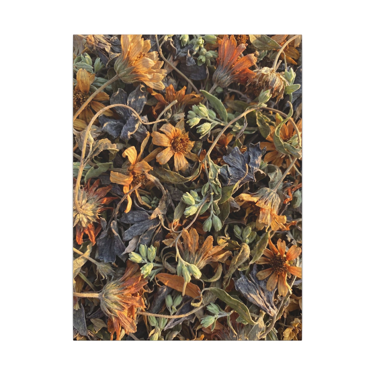 Spring Dried Flowers Japanese Pattern Canvas Art | Warm Decor