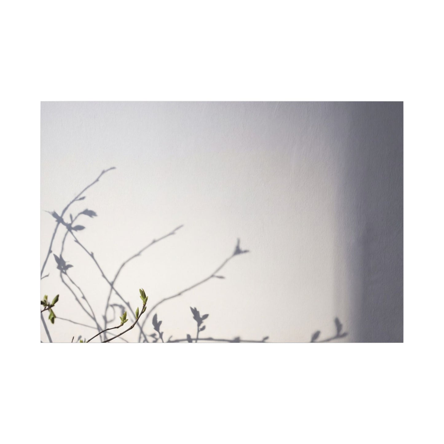 Japandi Shadow Play in Dawn | Japanese Pattern Canvas Art