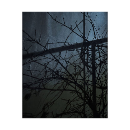 Shadow Play Winter Wall Art Print | Dark Japandi Luxurious Design