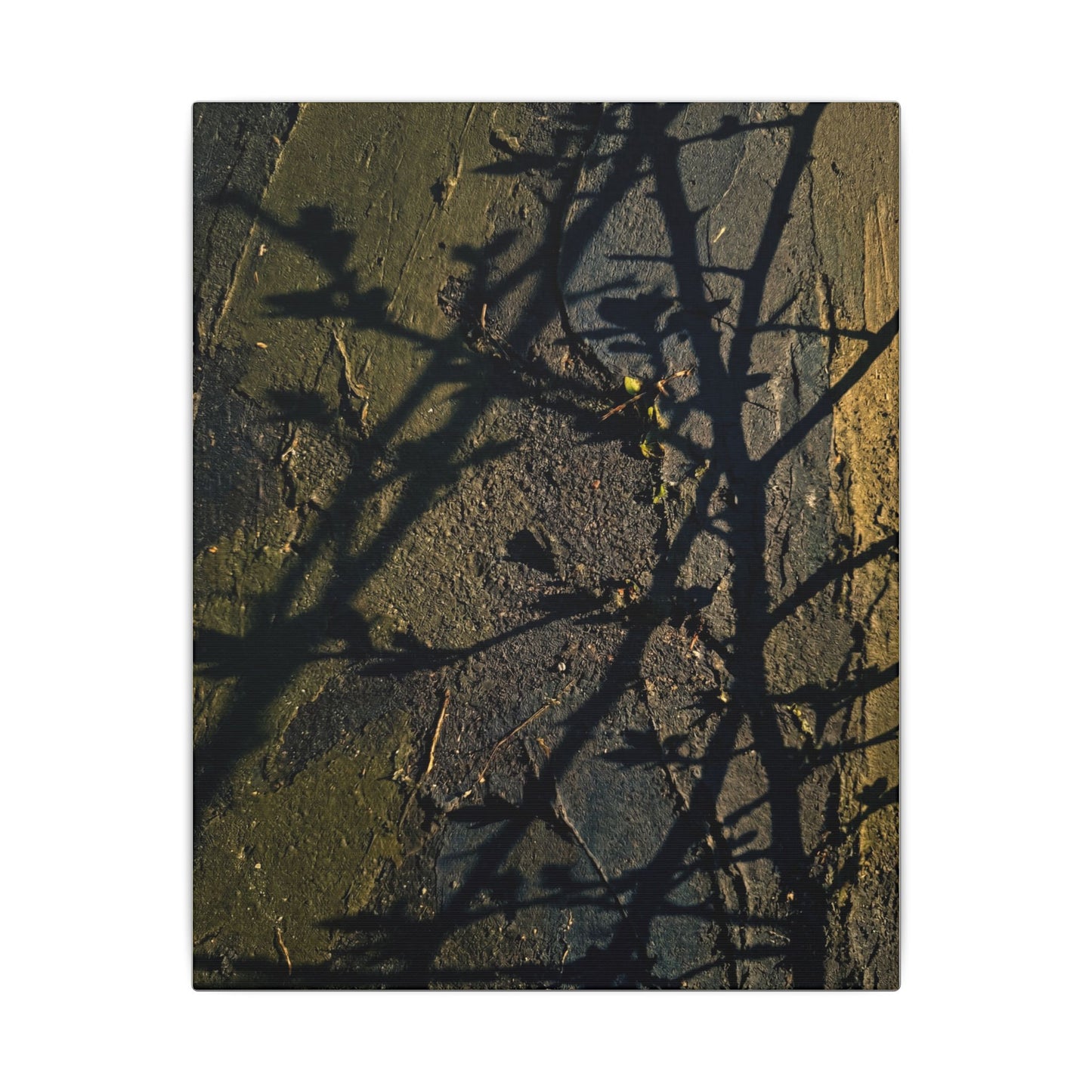 Kanso Shadow Play Canvas Art - Dark Japandi Dark Texture
