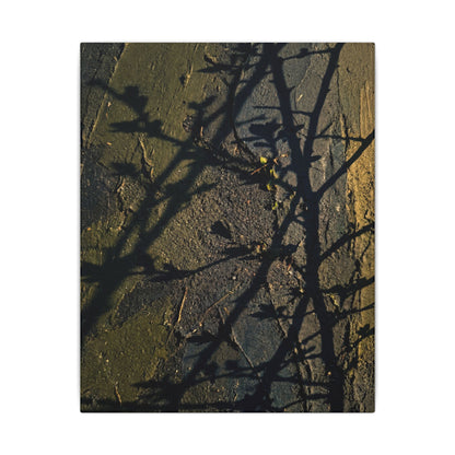 Kanso Shadow Play Canvas Art - Dark Japandi Dark Texture