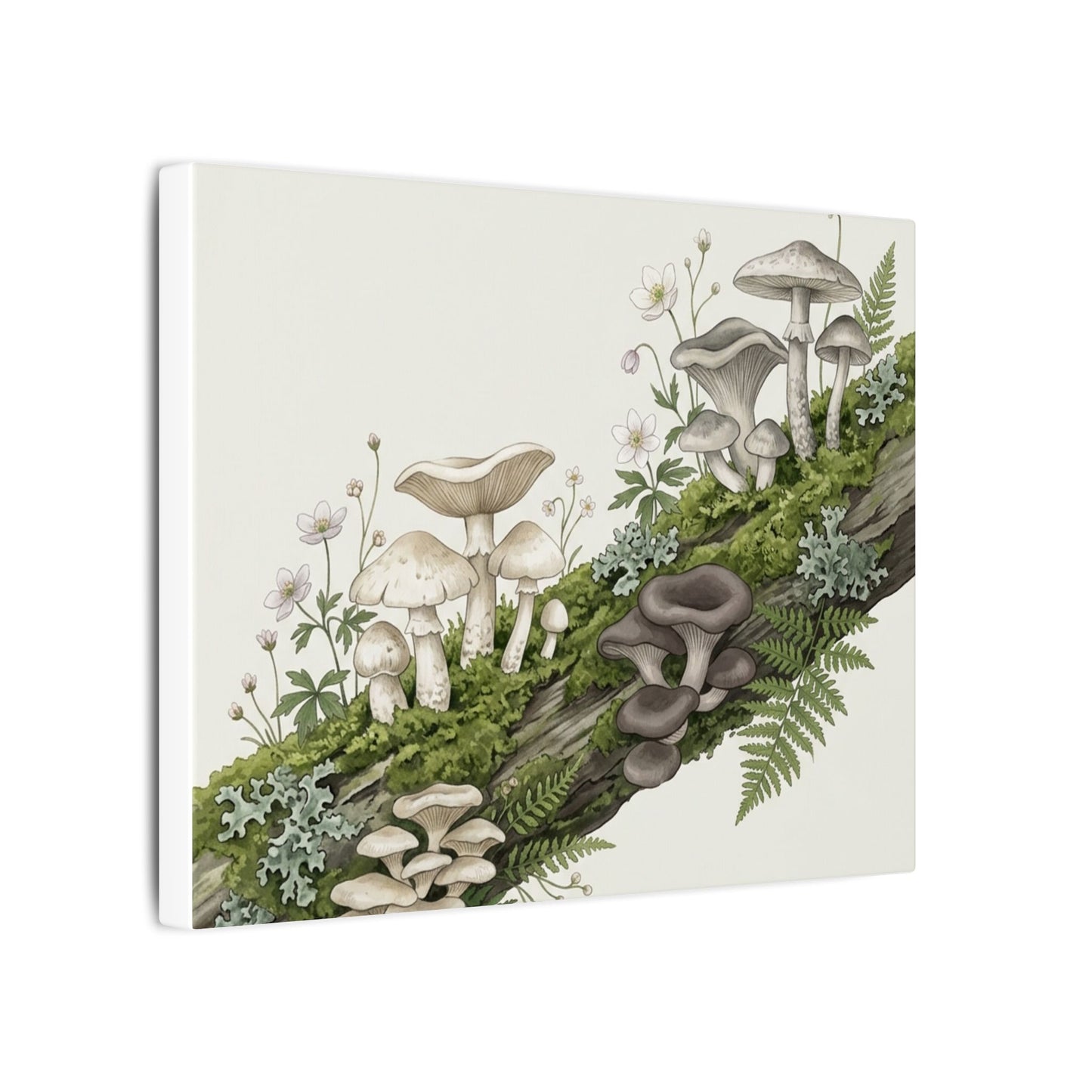 Dappled Wild Mushrooms Canvas Art - Japandi Ma