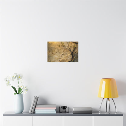 Cracked Earth Spring Canvas Art | Japandi Warm Design