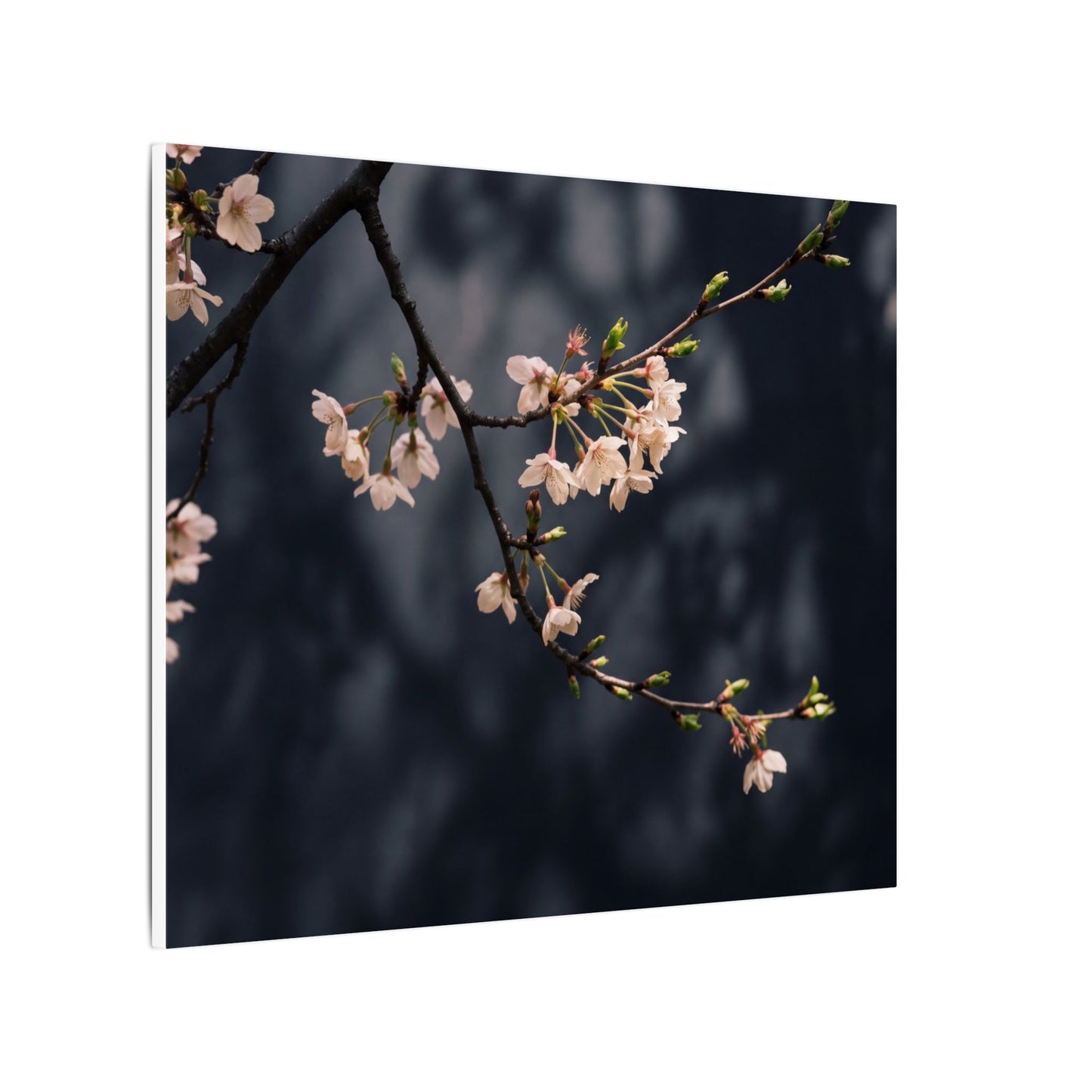Cherry Blossom Moody Minimal Canvas Art | Bold Dark Japandi Art