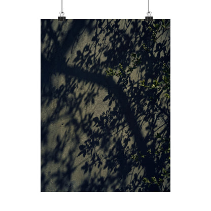 Shadow Play Moody Minimal Wall Art Print | Atmospheric Dark Japandi Art
