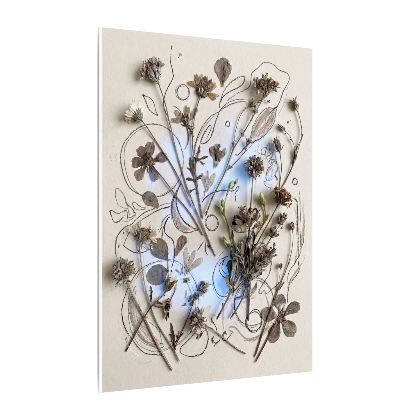 Dried Flowers Minimal Line Canvas Art | Elegant Japandi Art