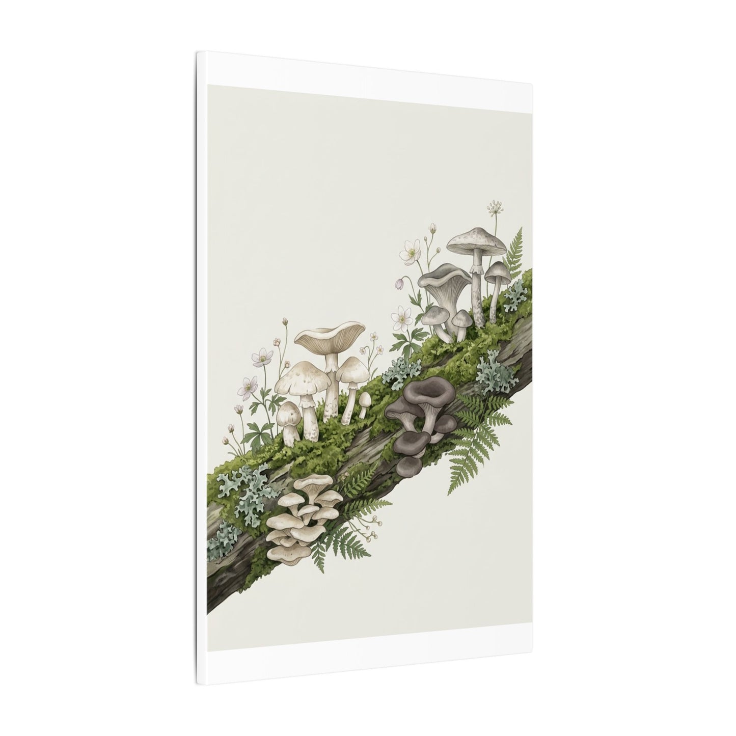 Dappled Wild Mushrooms Canvas Art - Japandi Ma