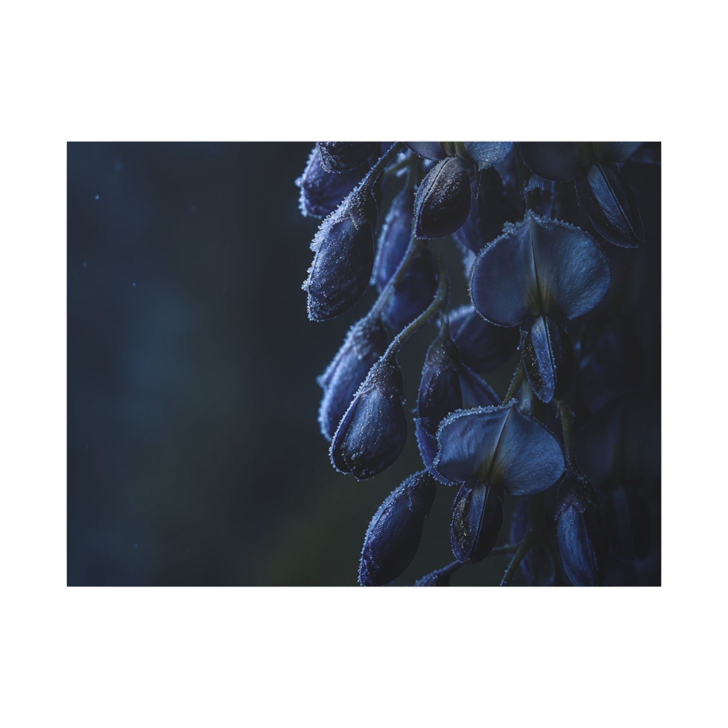 Winter Wisteria Shadow Zen Canvas Art | Atmospheric Decor