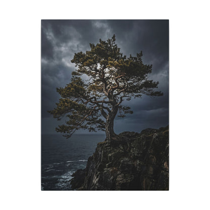 Dappled Pine Tree Canvas Art - Dark Japandi Fukinsei