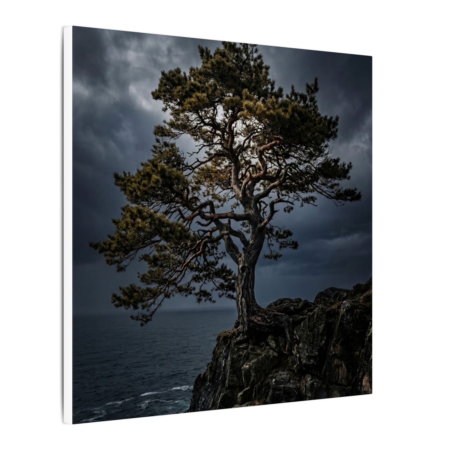 Dappled Pine Tree Canvas Art - Dark Japandi Fukinsei