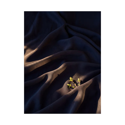 Atmospheric Silk Drape Wall Art Print - Shadow Zen Dark Japandi