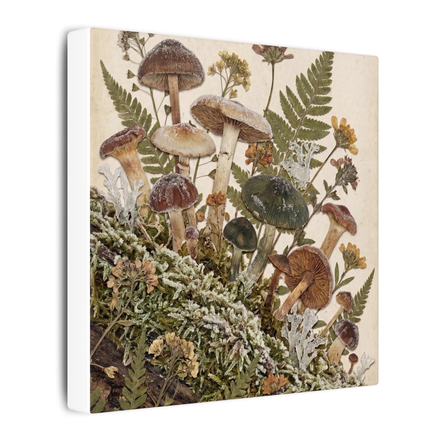 Winter Wild Mushrooms Herbarium Canvas Art | Enchanting Decor