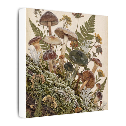 Winter Wild Mushrooms Herbarium Canvas Art | Enchanting Decor