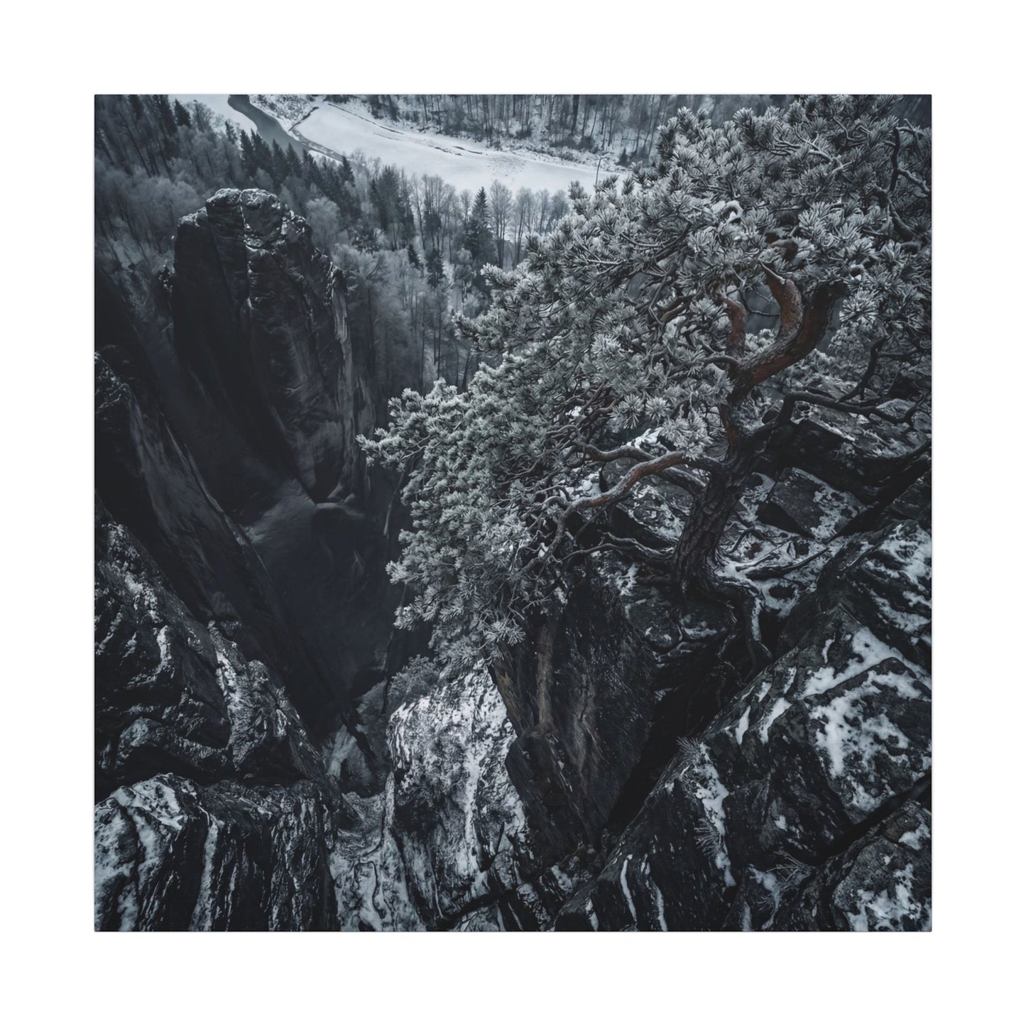 Dark Japandi Pine Tree in Dappled | Dark Texture Canvas Art