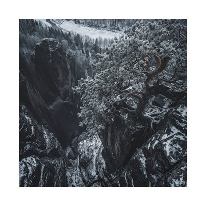 Dark Japandi Pine Tree in Dappled | Dark Texture Canvas Art