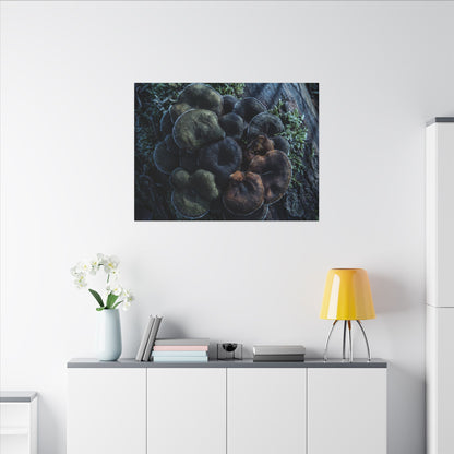 Wild Mushrooms Moody Minimal Canvas Art | Moody Dark Japandi Art