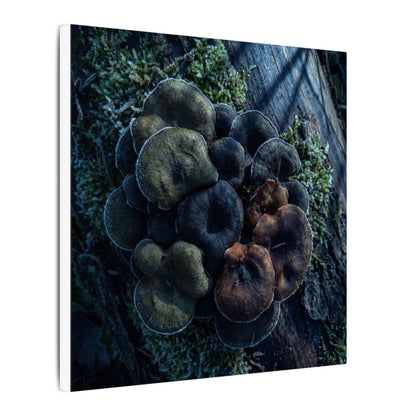 Wild Mushrooms Moody Minimal Canvas Art | Moody Dark Japandi Art