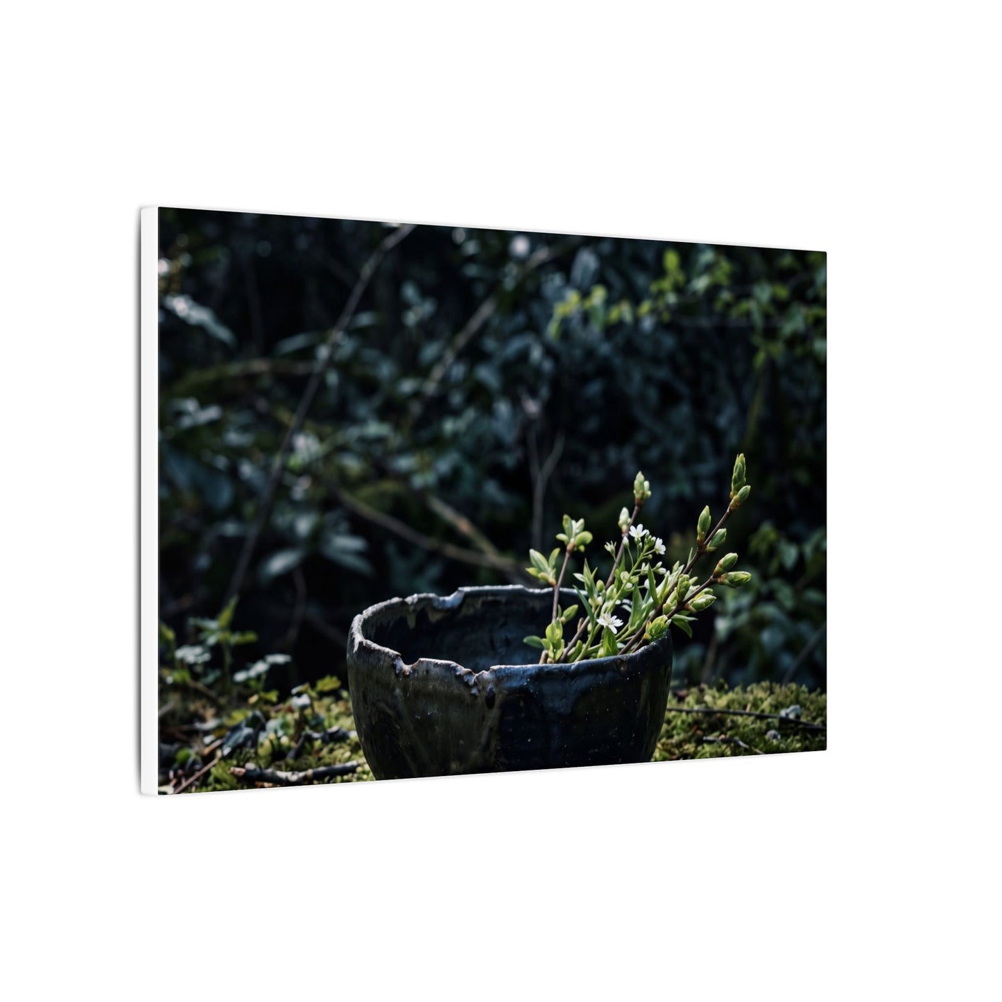 Dappled Ceramic Bowl Canvas Art - Dark Japandi Datsuzoku