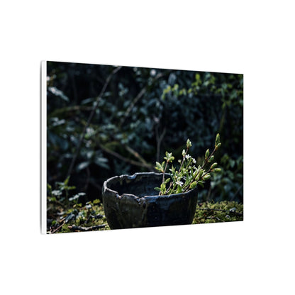 Dappled Ceramic Bowl Canvas Art - Dark Japandi Datsuzoku