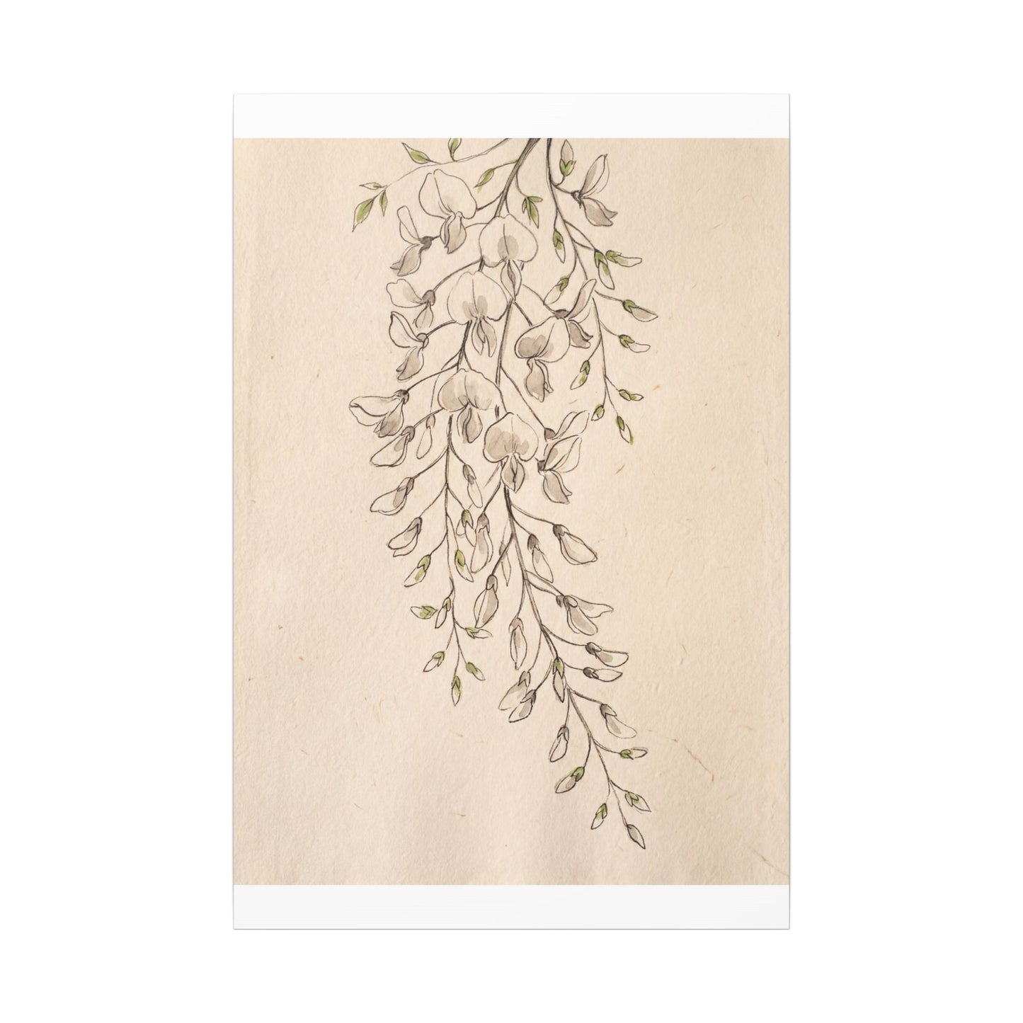 Japandi Wisteria in Golden Hour | Minimal Line Canvas Art