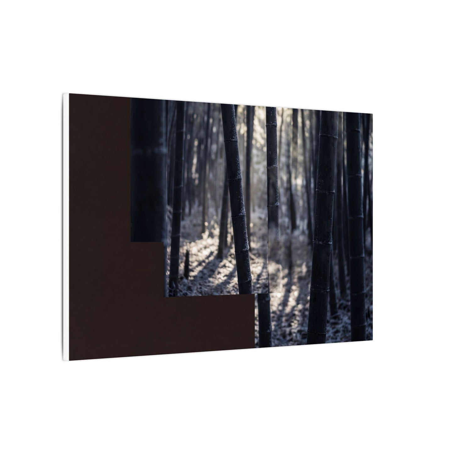 Bamboo Grove Canvas Art | Winter Dark Japandi Moody Minimal Art